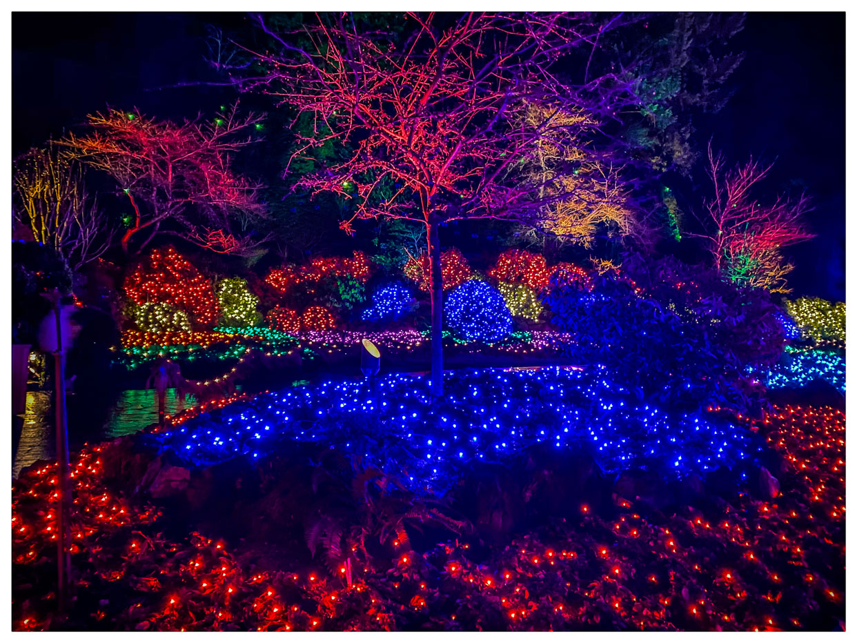 Christmas Lights Butchart Gardens