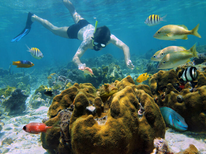 Isla Mujeres All Inclusive Luxury Catamaran & Snorkel from Cancun
